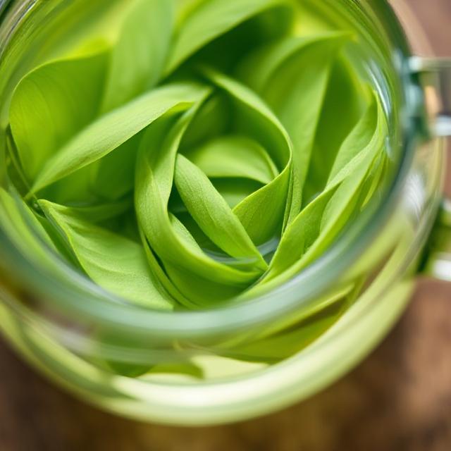 Outline  Responsive Bootstrap Template